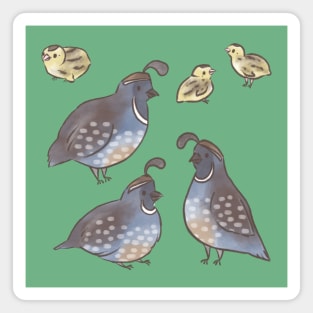 Cute Quail Magnet